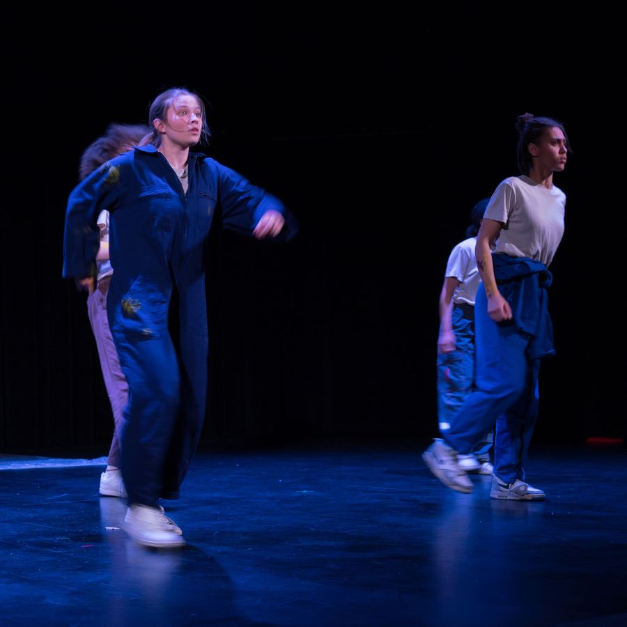 Rue du Chemin Bleu-3